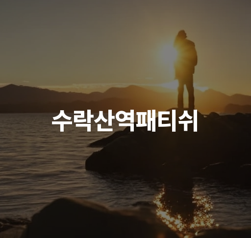 수락산역패티쉬  수락산 역 근처 패티쉬 스타일 갤러리 예술과 문화를 만나는 공간